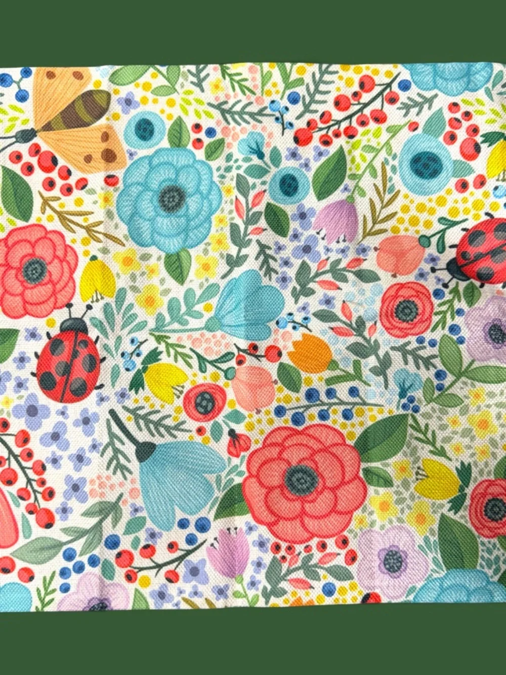 NWOT Ladybug Floral Double-Sided 18x18 Throw Pillow Cover